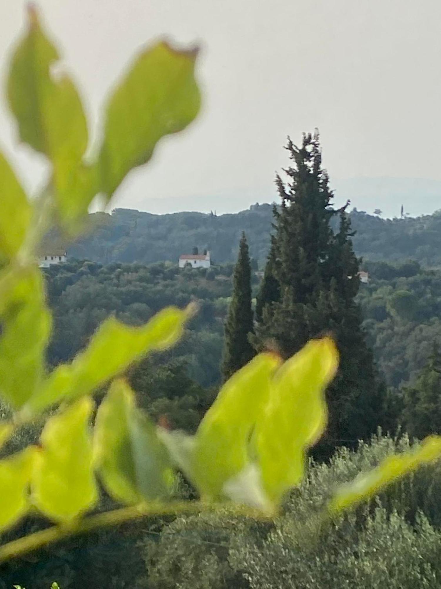 Dinateli Houses - Live Like A Local In Corfu Kastellanoi  外观 照片