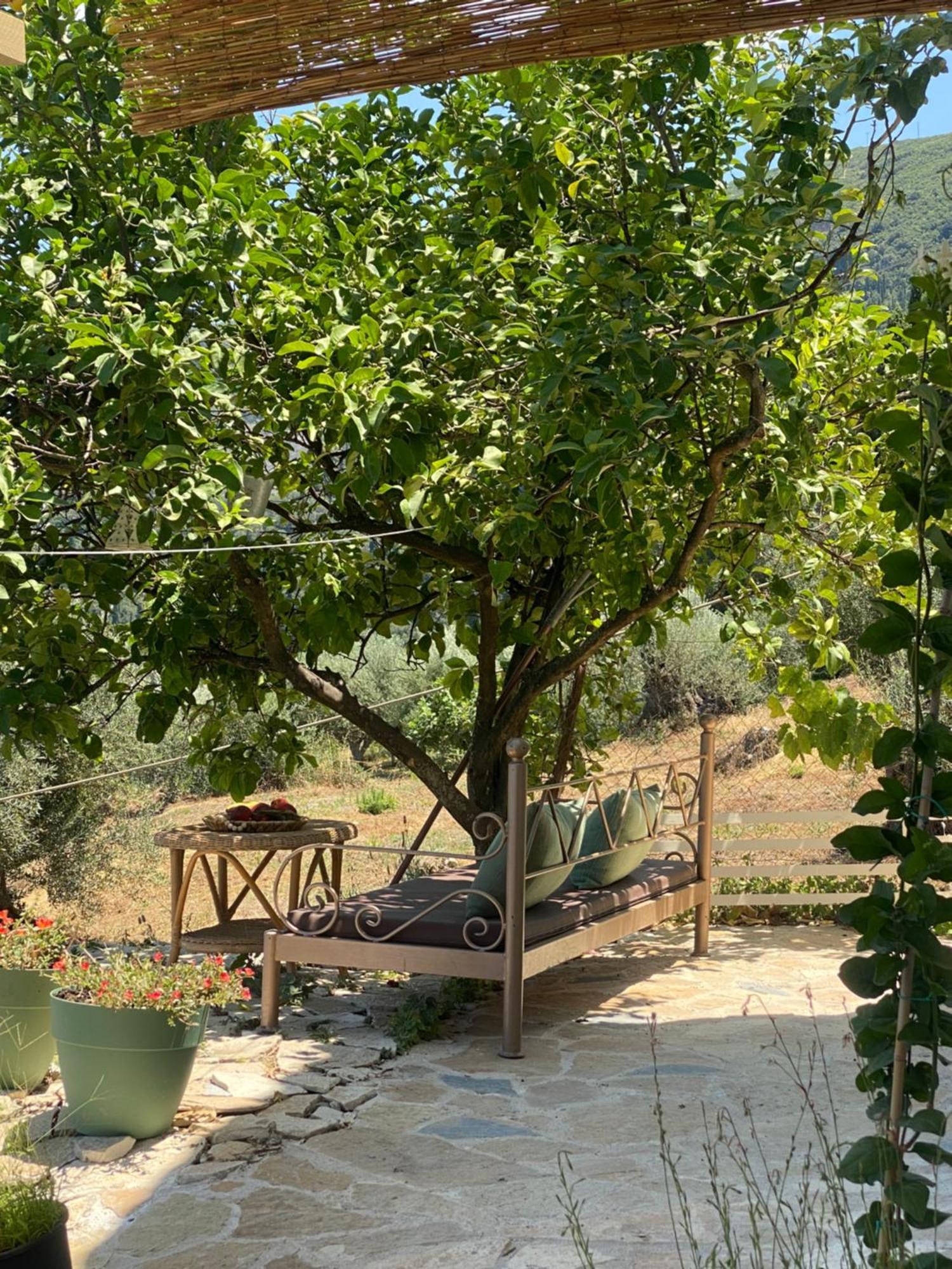 Dinateli Houses - Live Like A Local In Corfu Kastellanoi  外观 照片