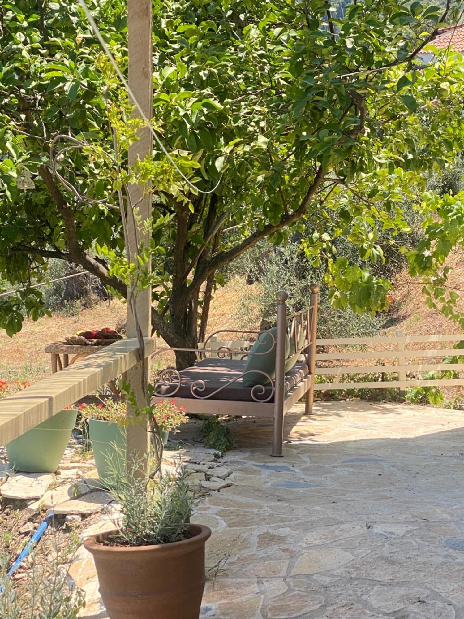 Dinateli Houses - Live Like A Local In Corfu Kastellanoi  外观 照片