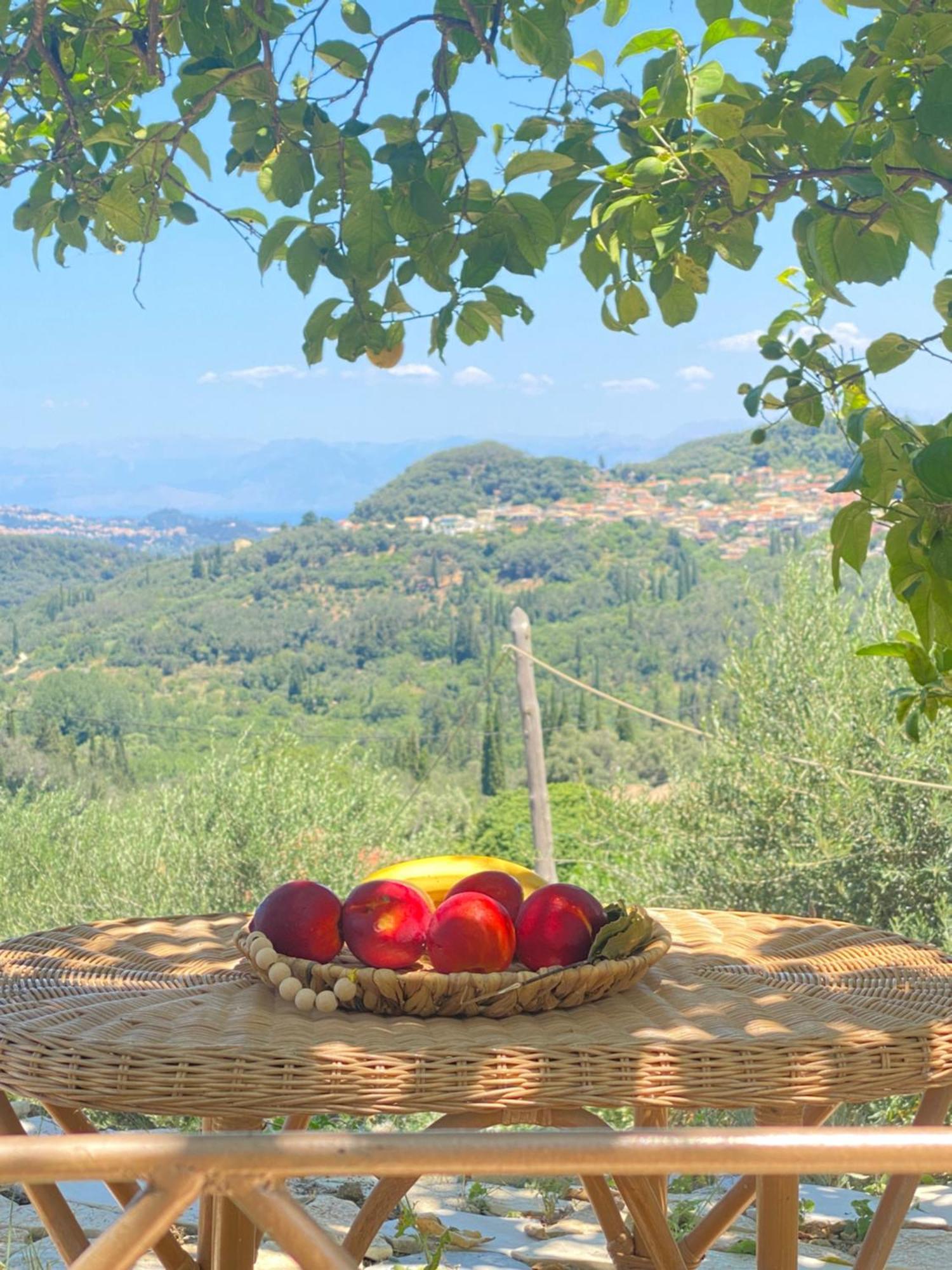 Dinateli Houses - Live Like A Local In Corfu Kastellanoi  外观 照片